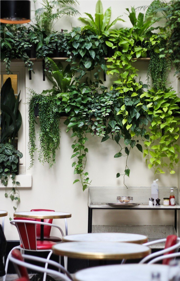 Wall Decor Vertical Garden Indoor