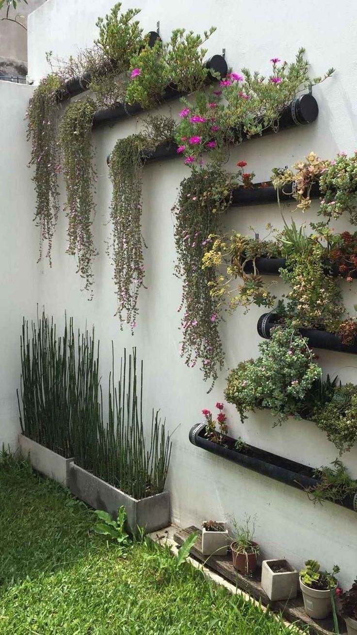Ideas Green Wall Garden