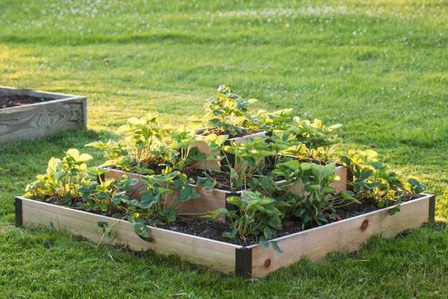 Diy Raised Garden Bed Ideas Instructions