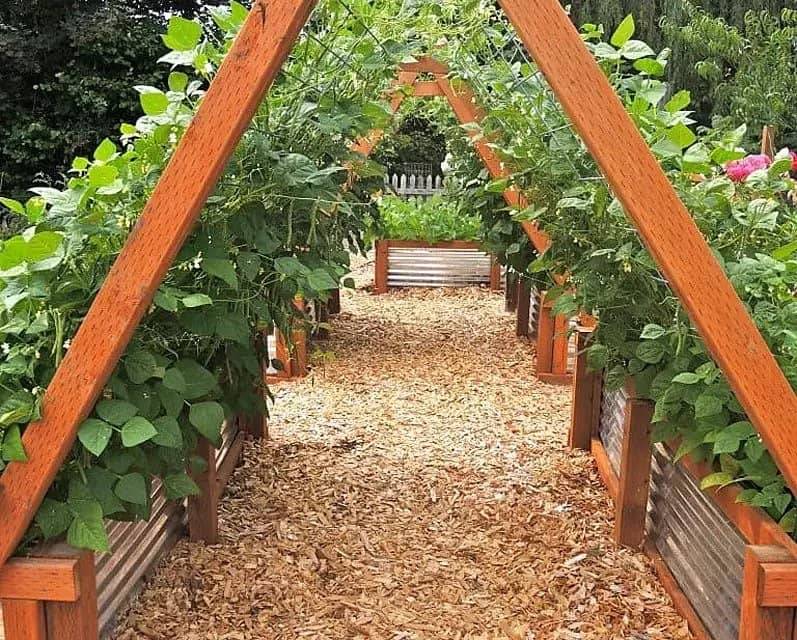 This Tiered Garden Bed
