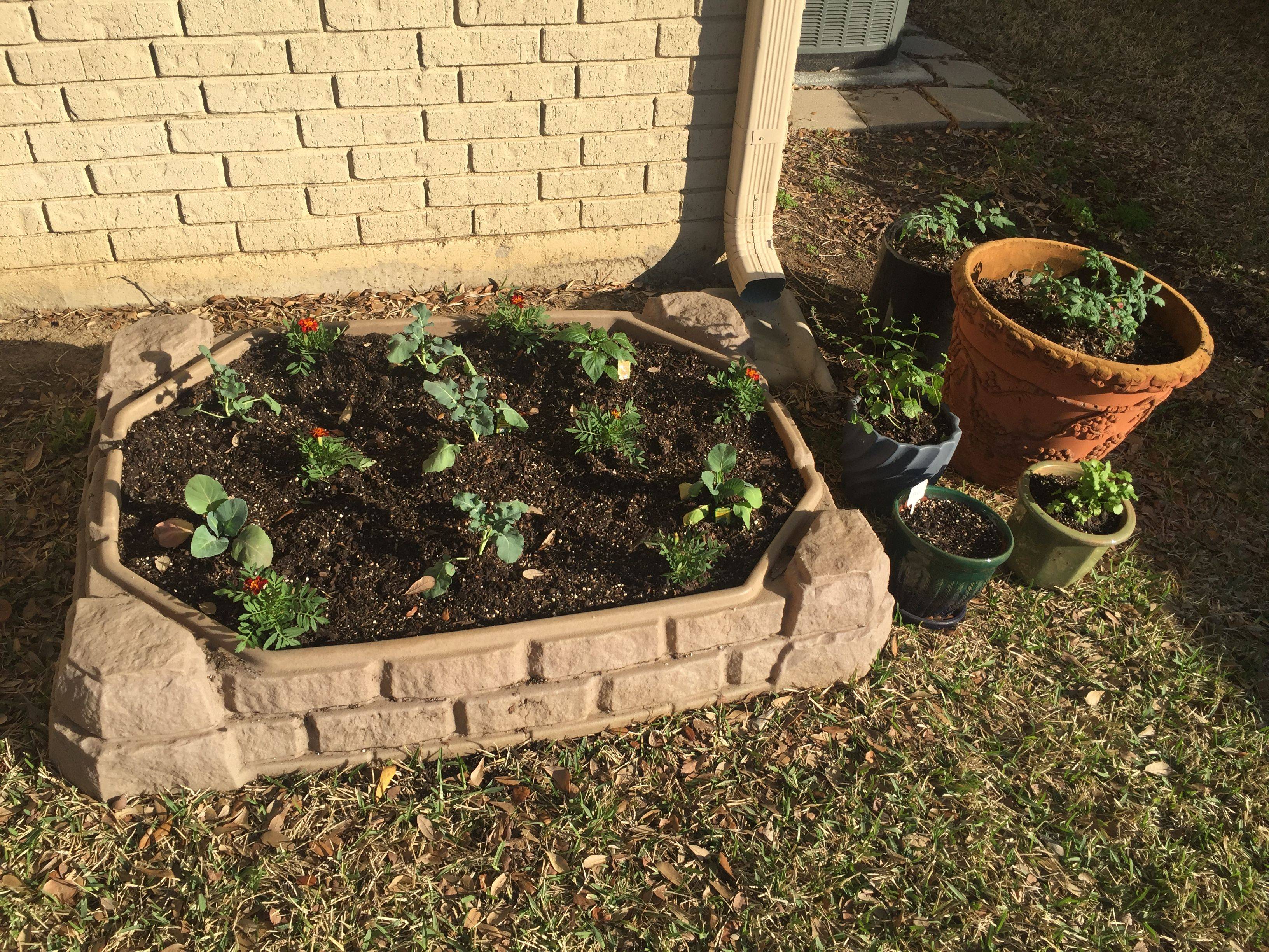 Build Raised Beds