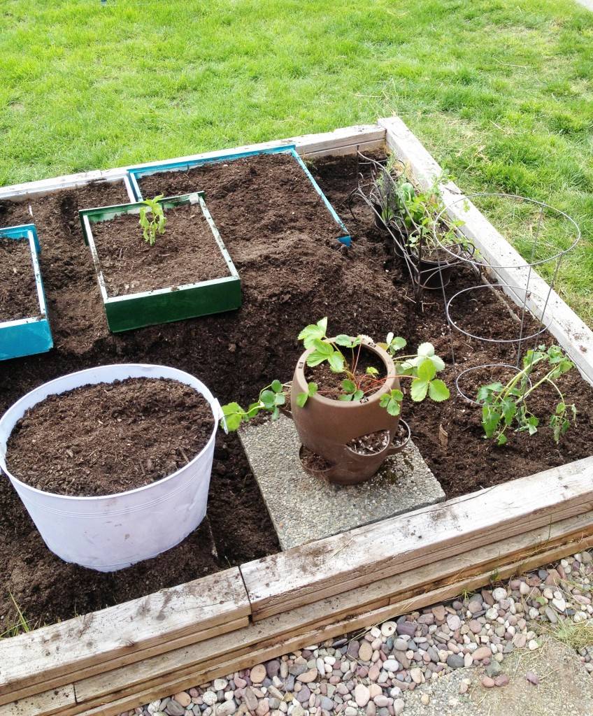 A Raised Flower Bed