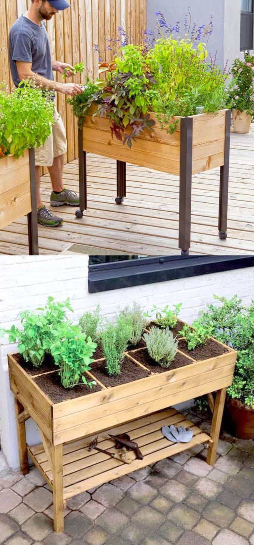 Best Indoor Raised Planter Box Bed Gardening