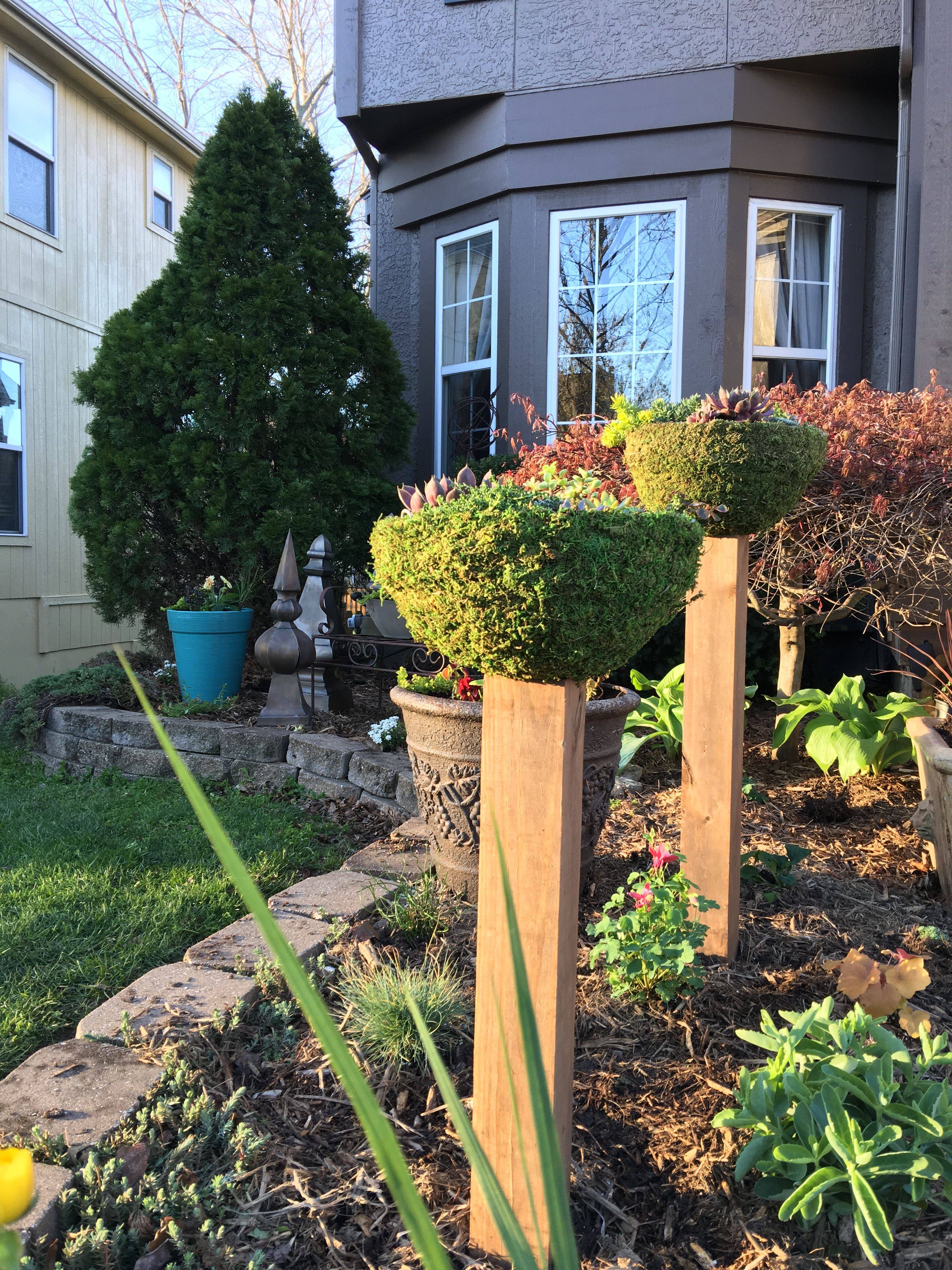 Best Indoor Herb Garden Ideas