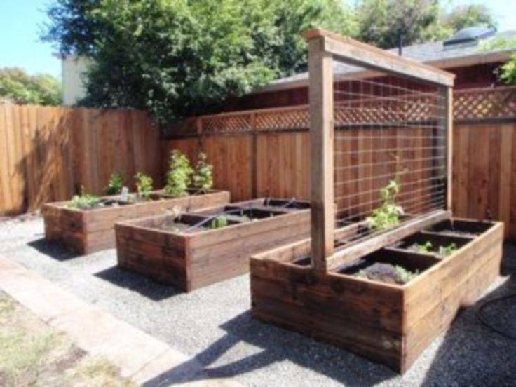Indoor Garden Kitchen Garden