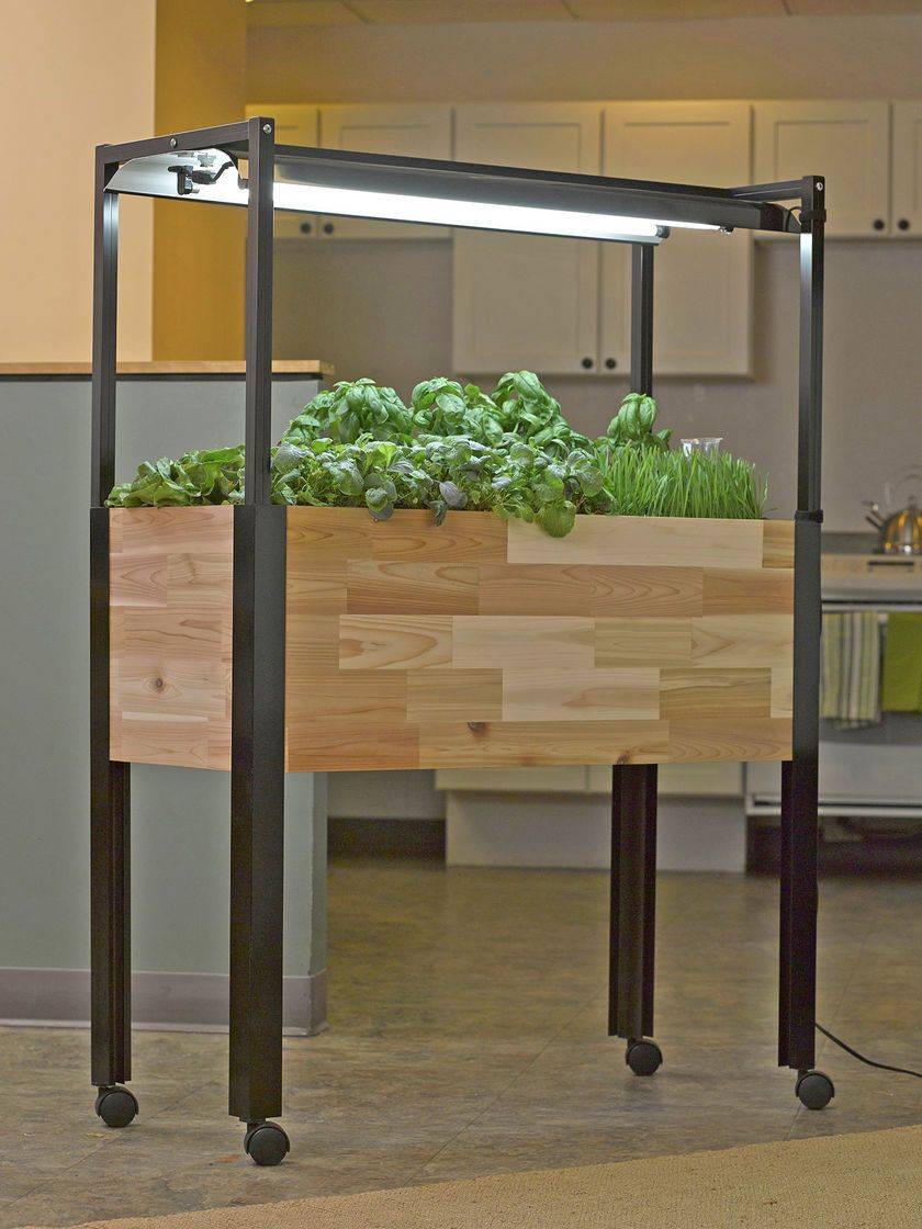 Indoor Plant Dcor Inspires