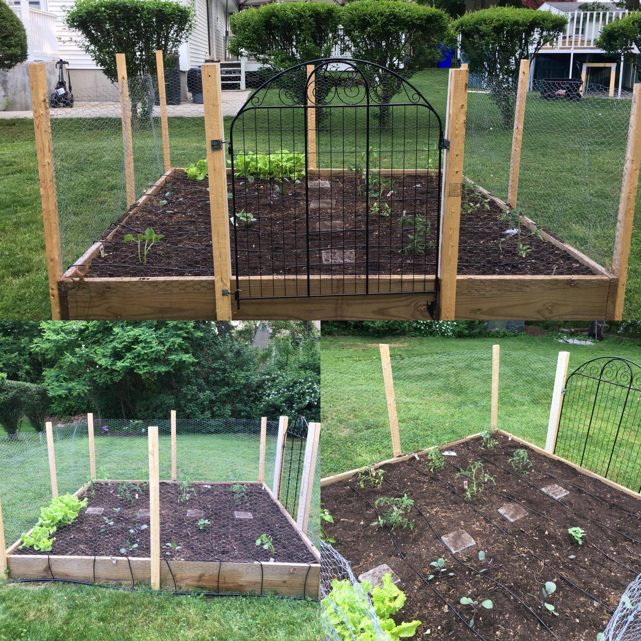 Simple Raised Garden Ideas