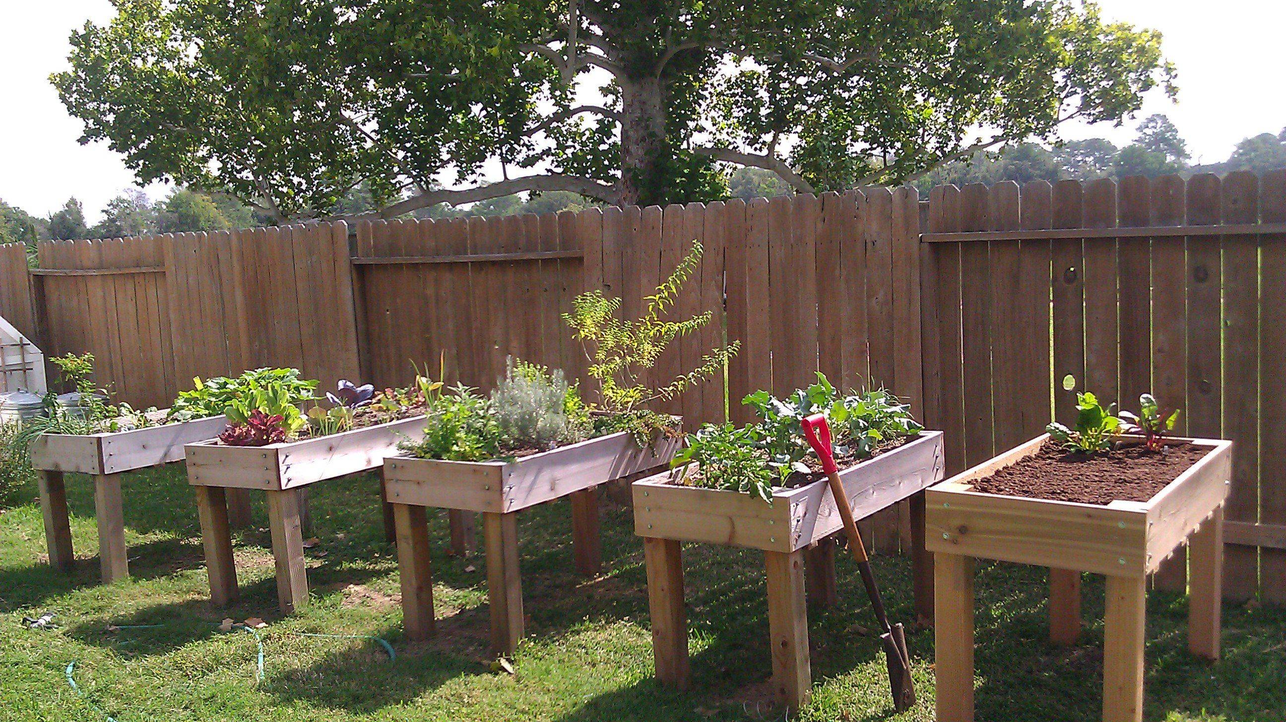 A Raised Garden Bed