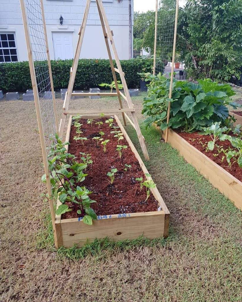 Creative Diy Backyard Vegetable Garden House Design