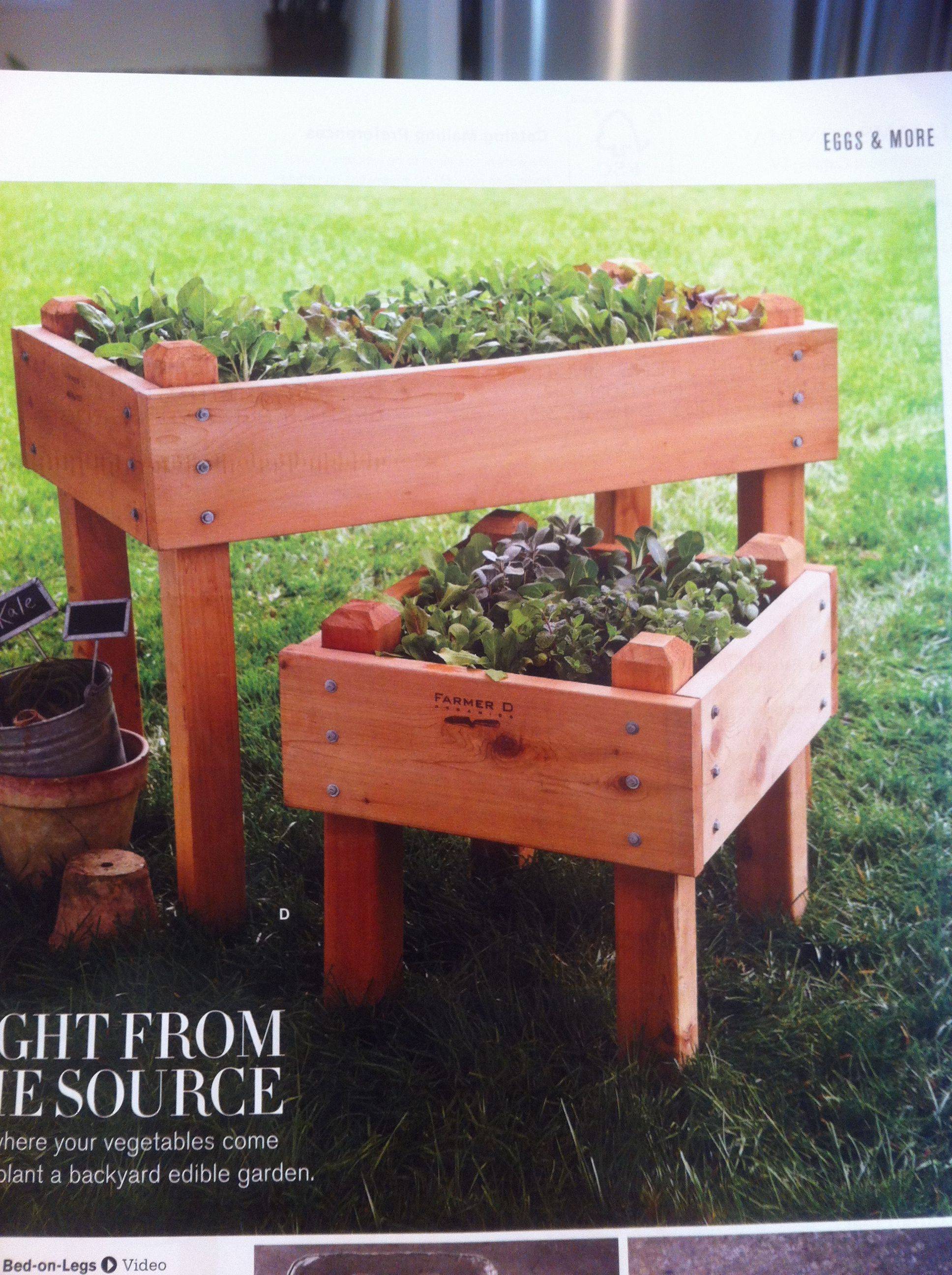 20 Raised Vegetable Garden with Legs Ideas You Must Look SharonSable