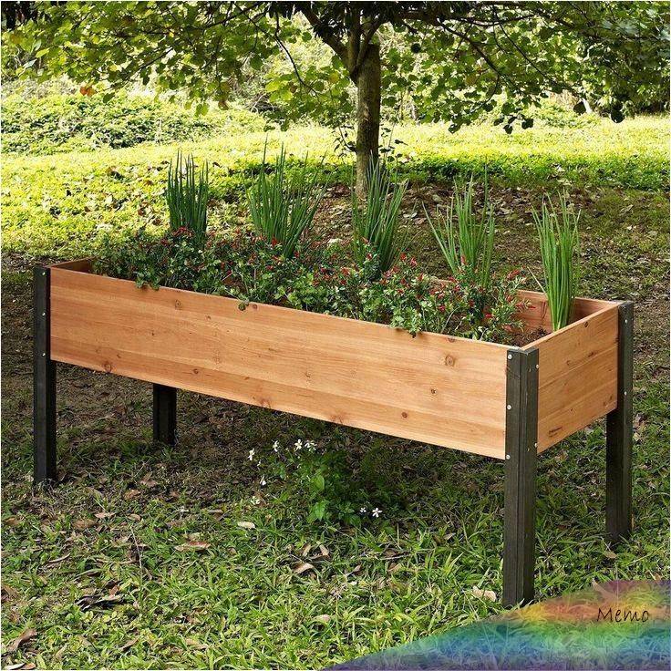 Landscape Garden Pictures Small Garden