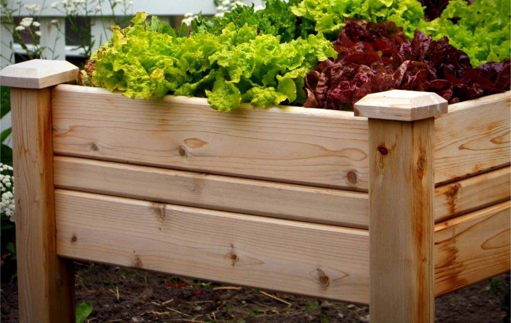 Tier Garden Bed