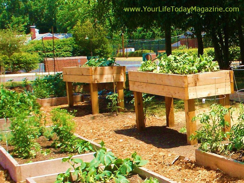 The Top Raised Garden Bed Ideas Landscaping Design