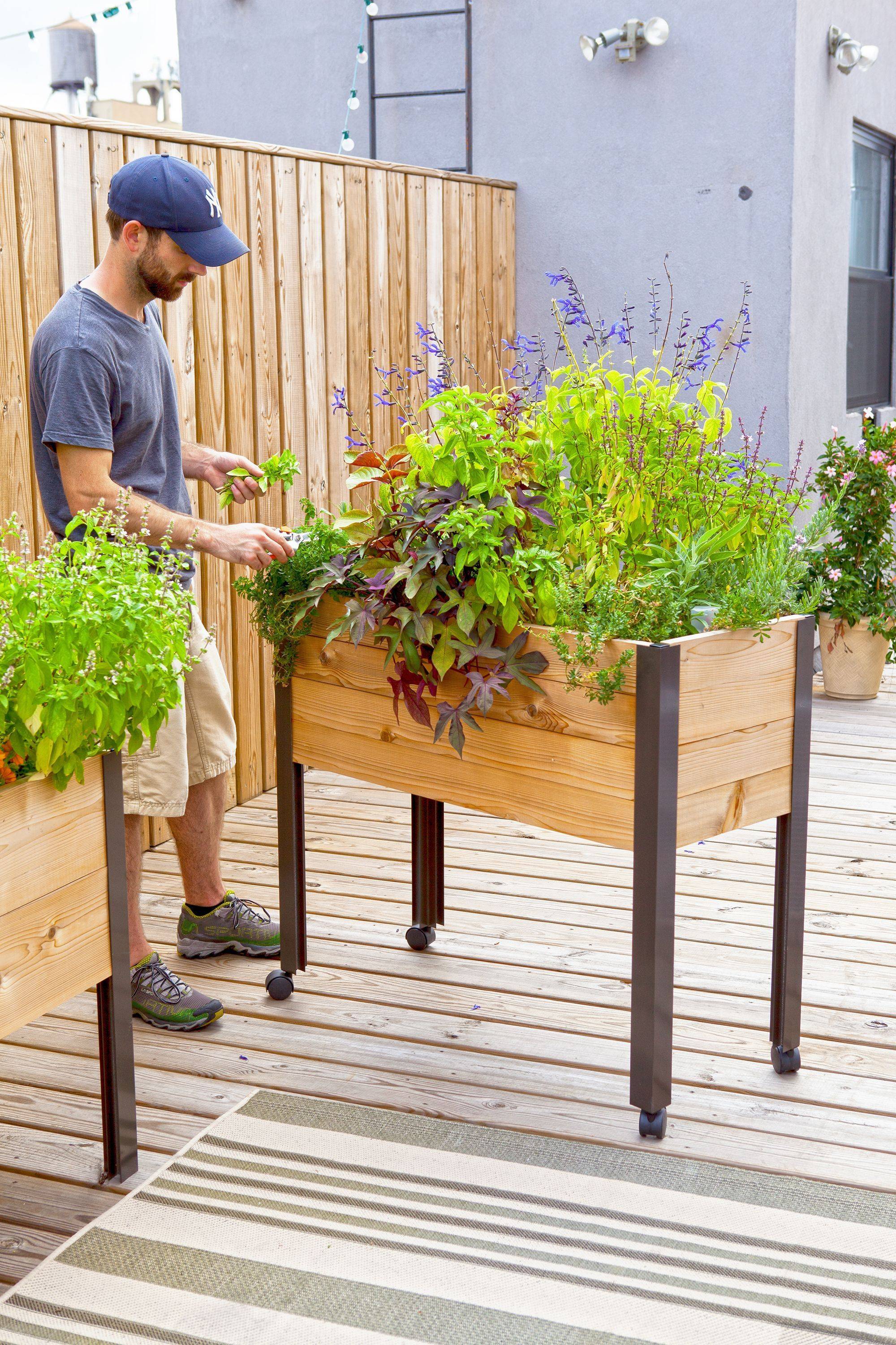 The Top Raised Garden Bed Ideas Landscaping Design