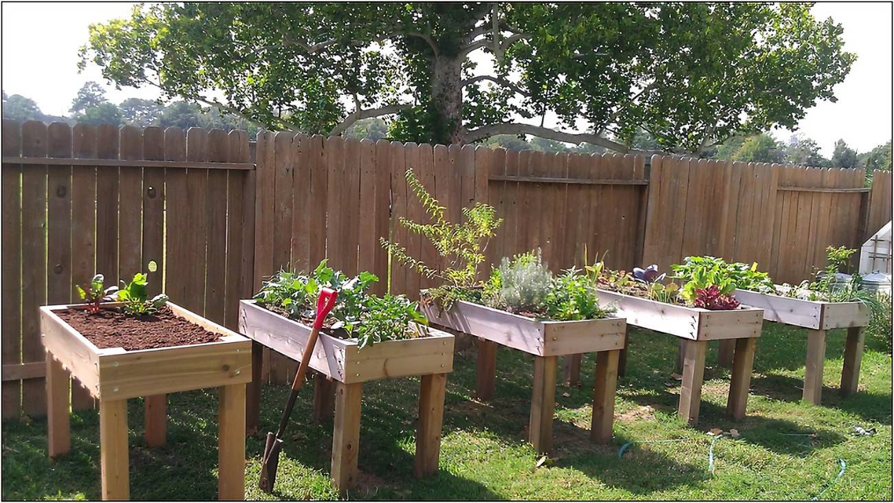 Ground Garden Boxes