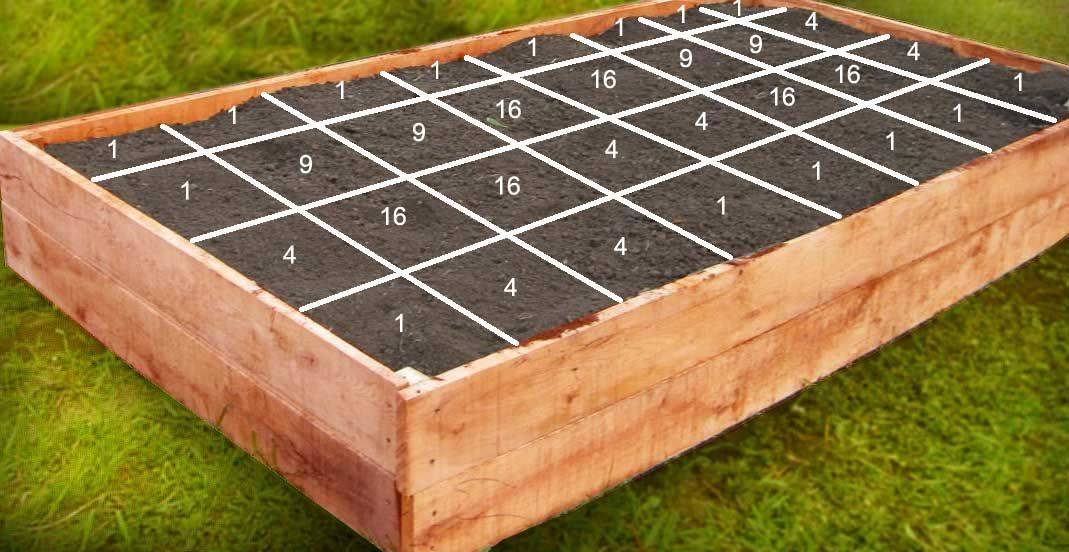 Ground Garden Boxes