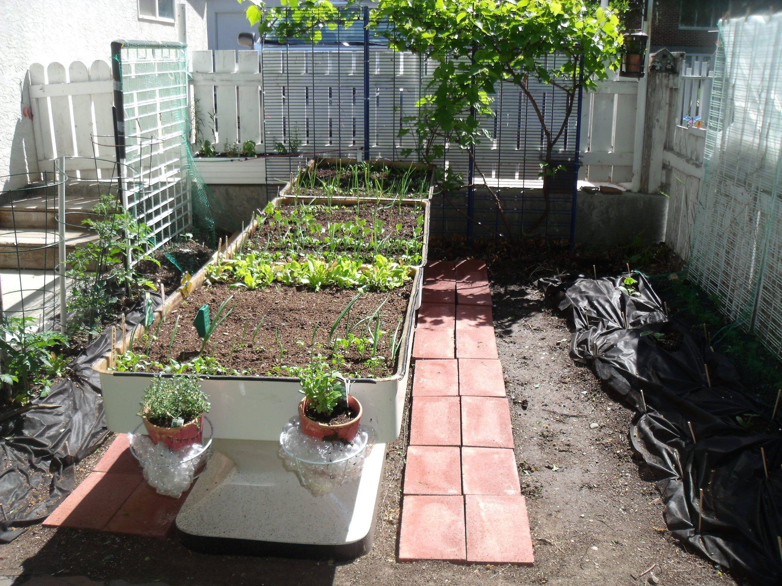 Beautiful Raised Garden Bed Ideas Vegetables