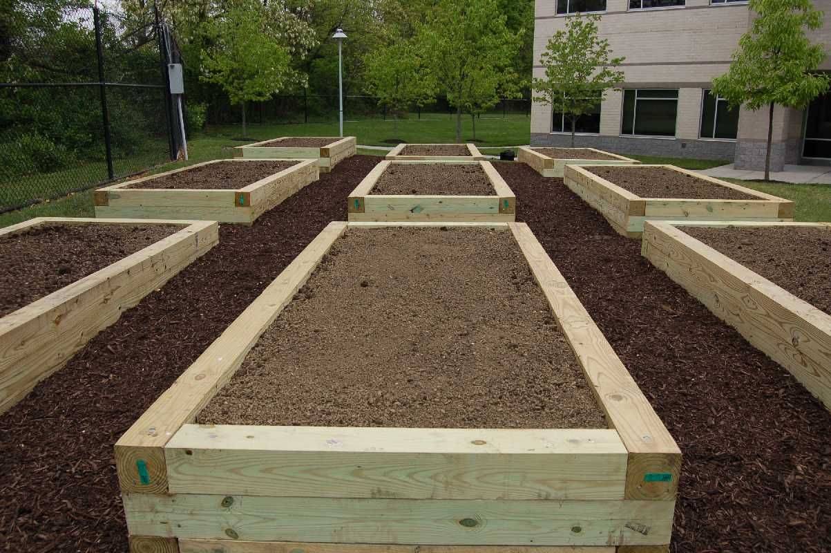 Beautiful Raised Garden Bed Ideas Vegetables