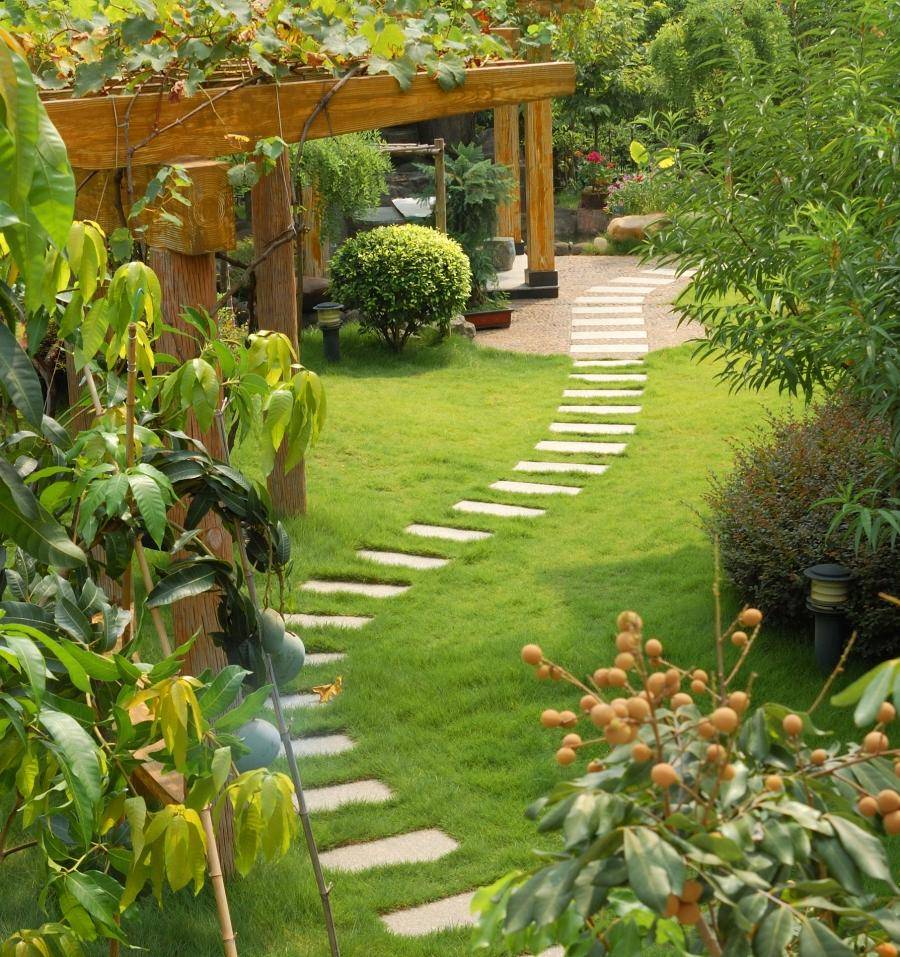 Landscaping Ideas