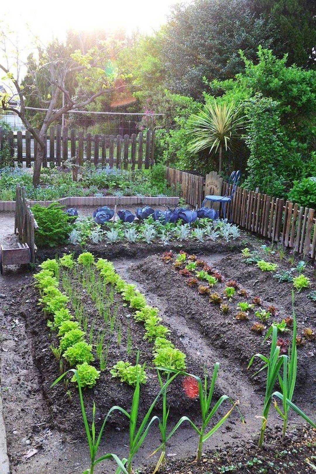 Brilliant Vegetable Garden Layout Ideas