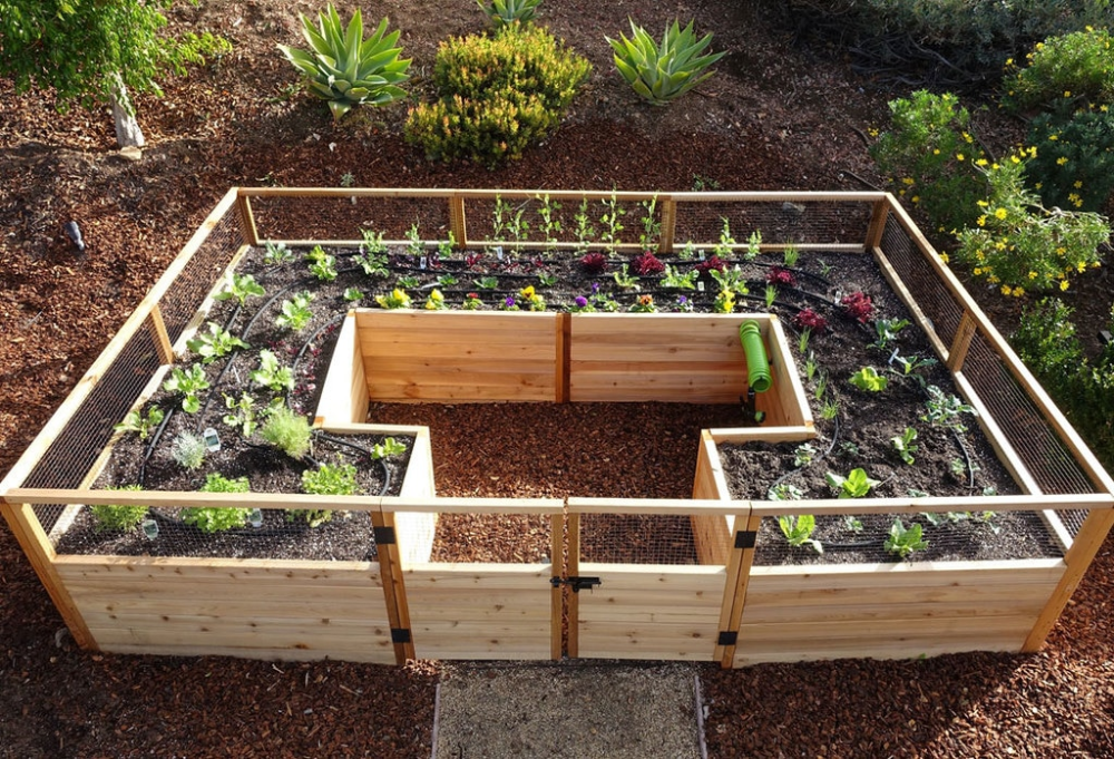 Raised Garden Bed