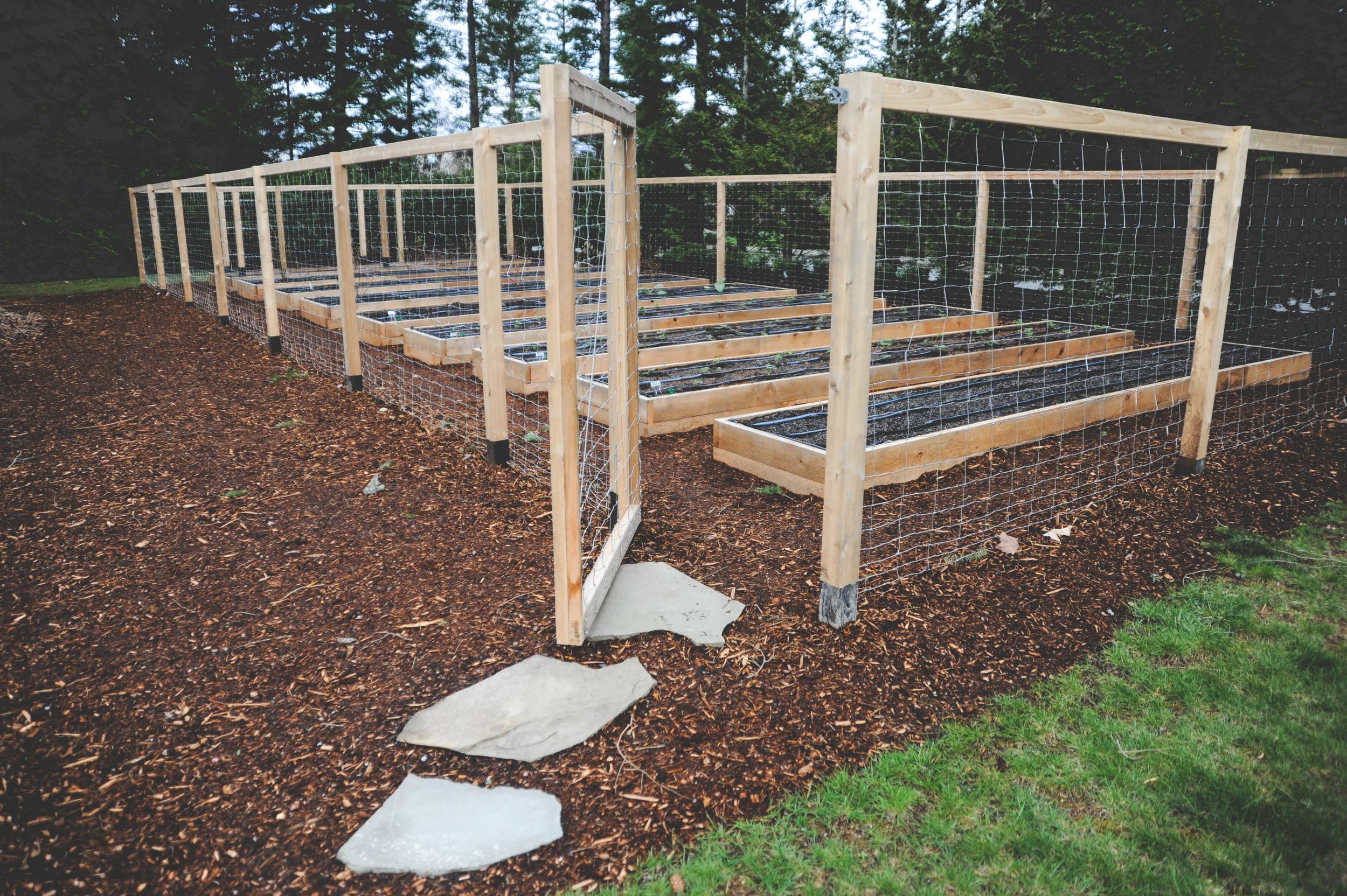 Vegetable Garden