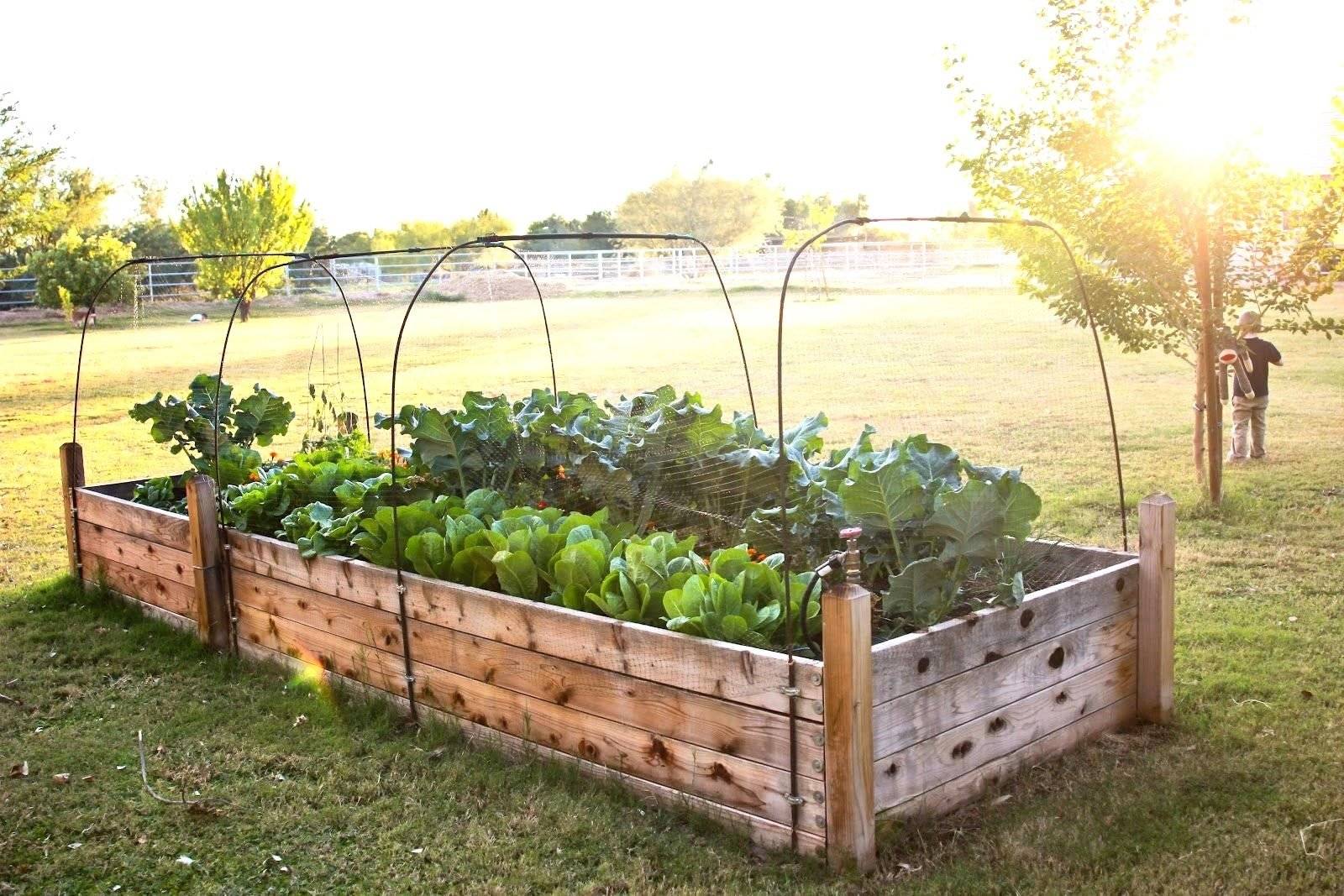 Unique And Cool Raised Garden Bed Ideas