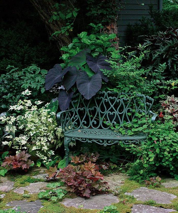 Rock Garden Landscaping Ideas