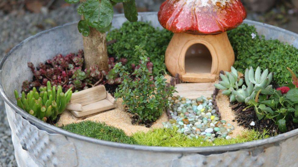 Fun Fairy Garden Ideas