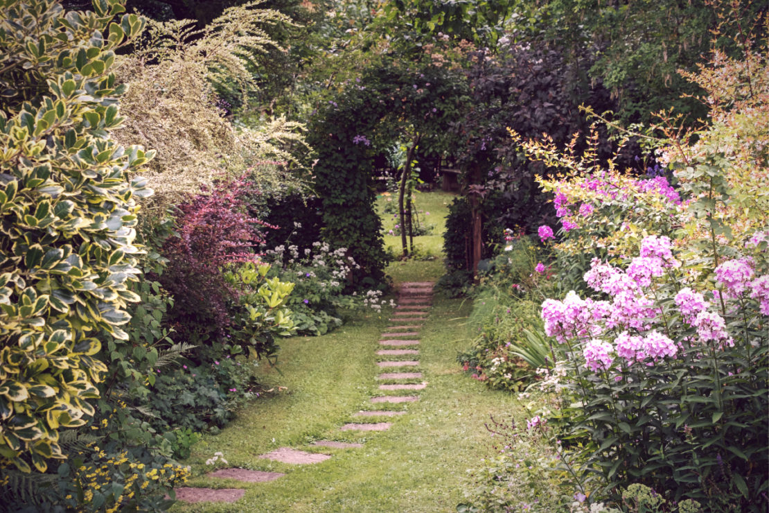 Enchanted Garden Magical Garden