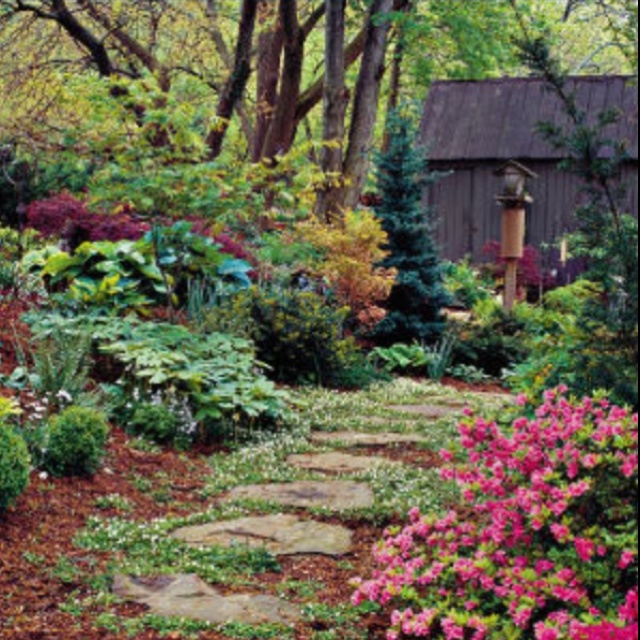Enchanted Garden