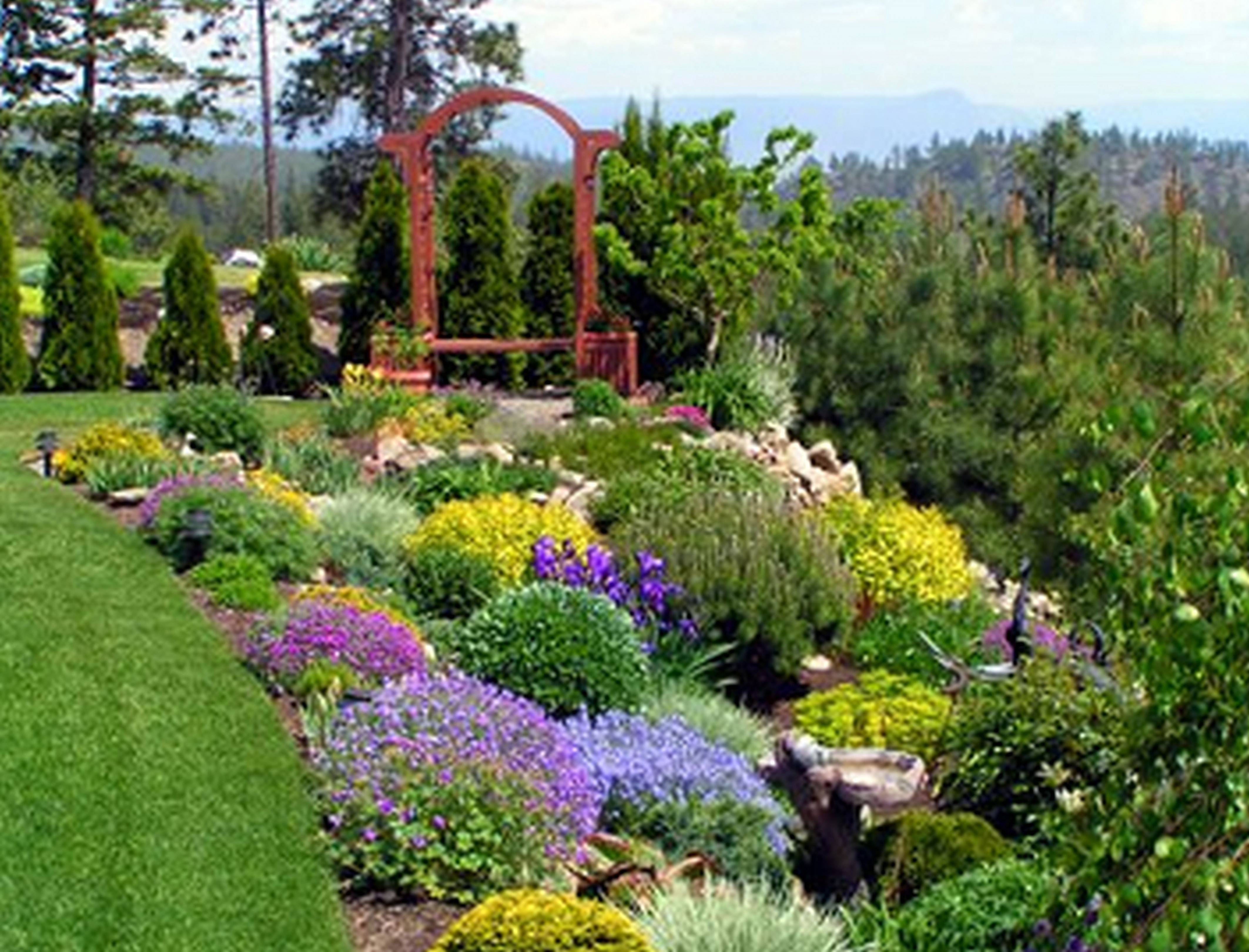 Southern California Backyard Ideas Outdoor Landscaping Ideas