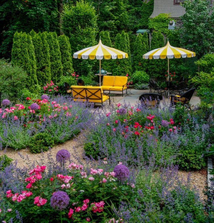 Diy Garden Privacy Ideas