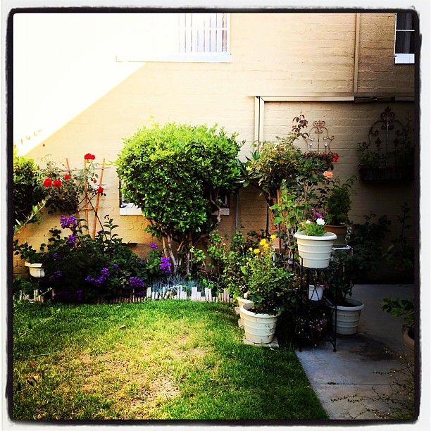 Your Yard Diycraftsguru