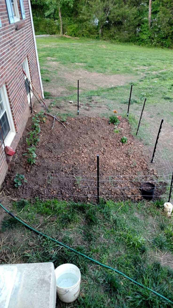 Garden Privacy Ideas