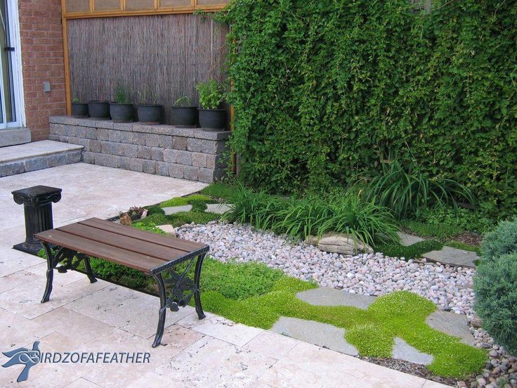 Little Garden