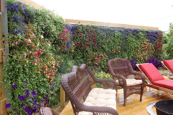 Little Garden