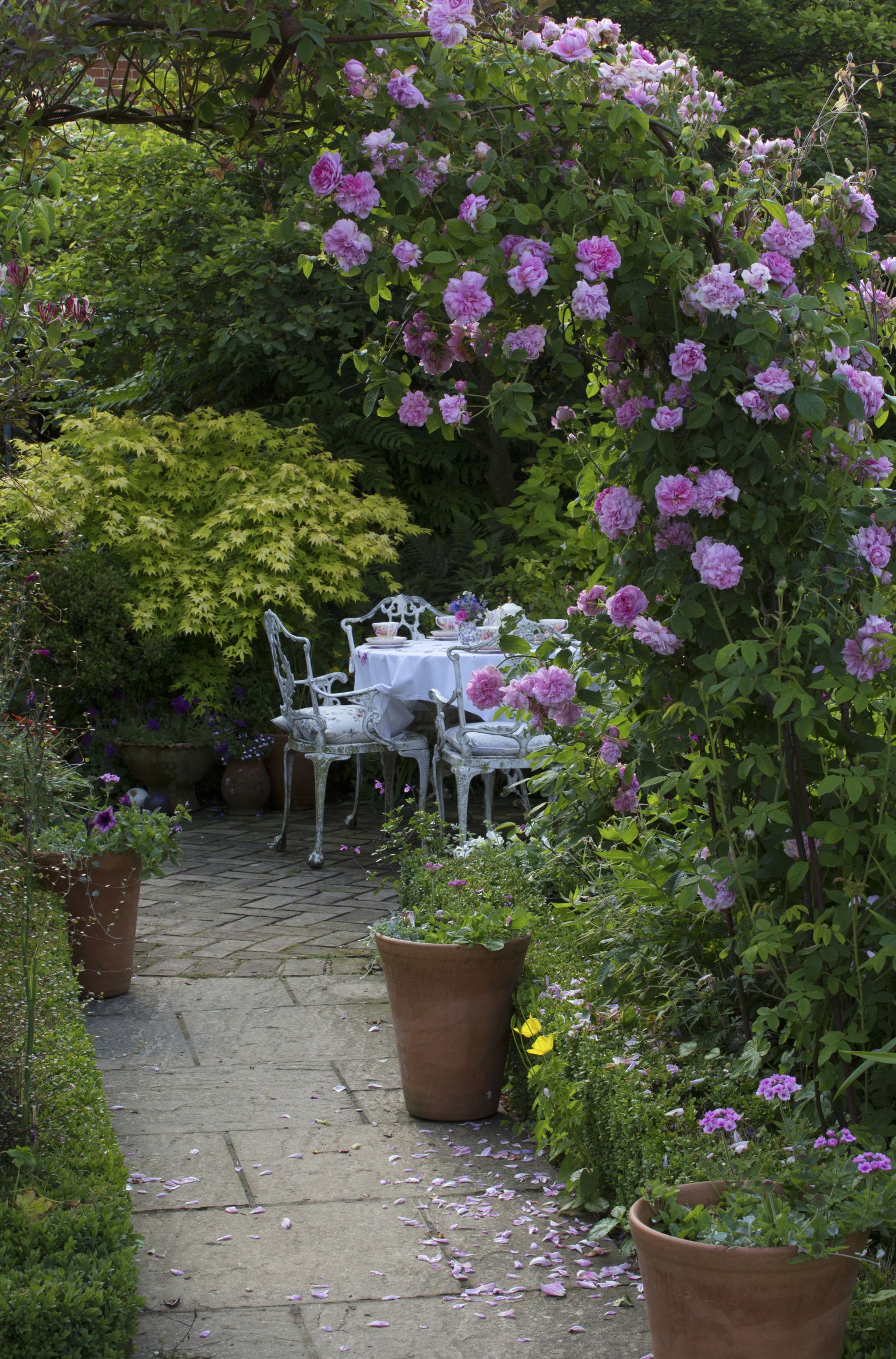 Diy Garden Privacy Ideas