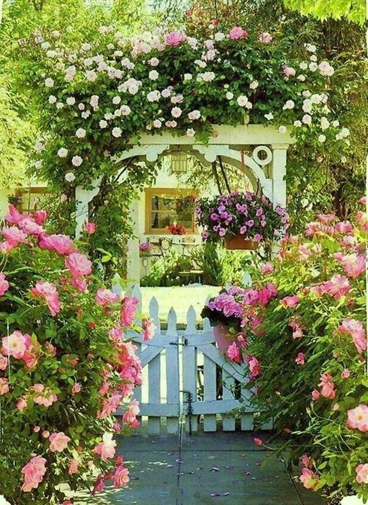 Judys Cottage Garden