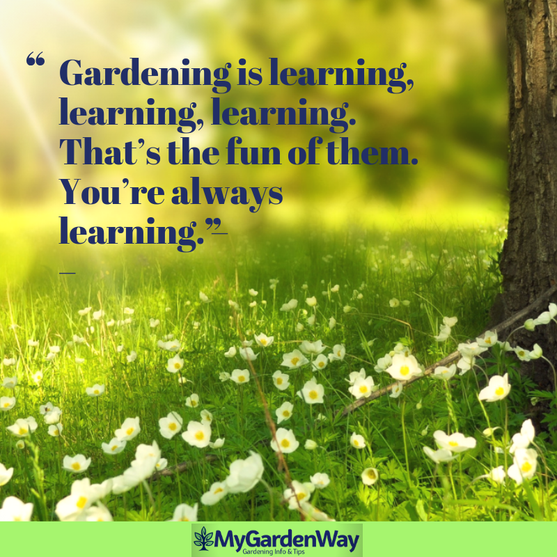 Inspirational Gardening Quotes