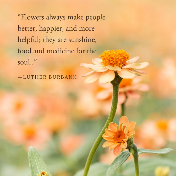 Gardens Are Not Made By Singing Oh How Beautiful And Sitting In The
