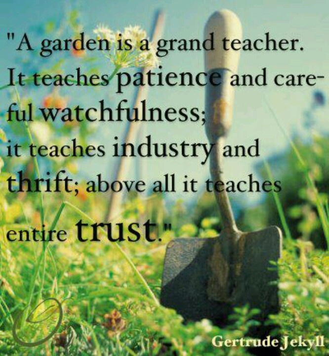 Container Gardening
