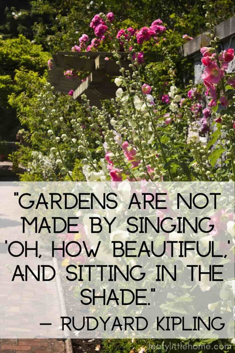 Garden Wedding Ideas