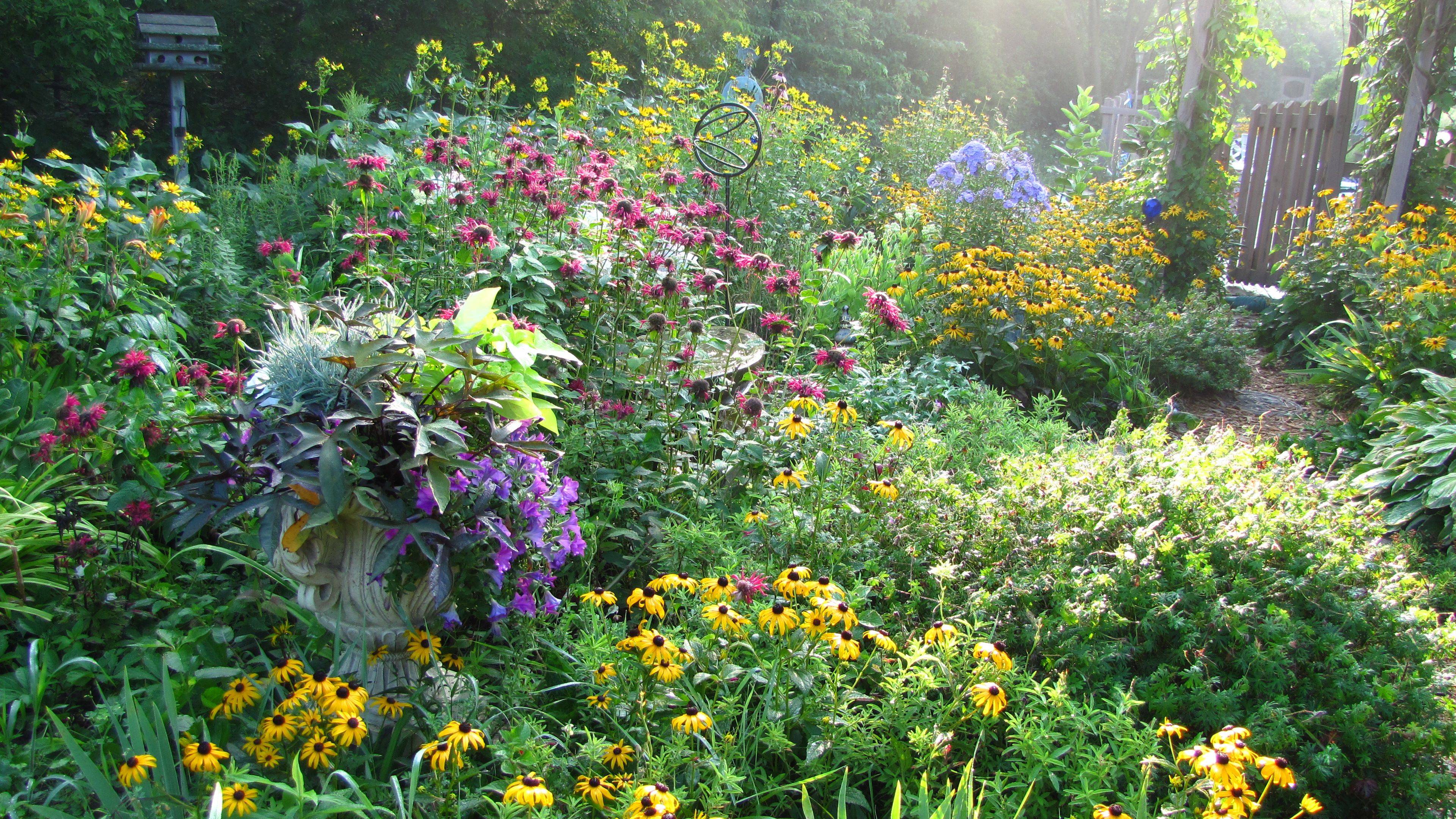 Lovely Cottage Garden Design Ideas