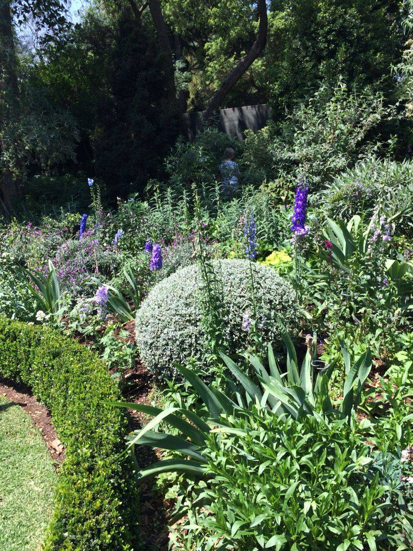 Your Dream Garden