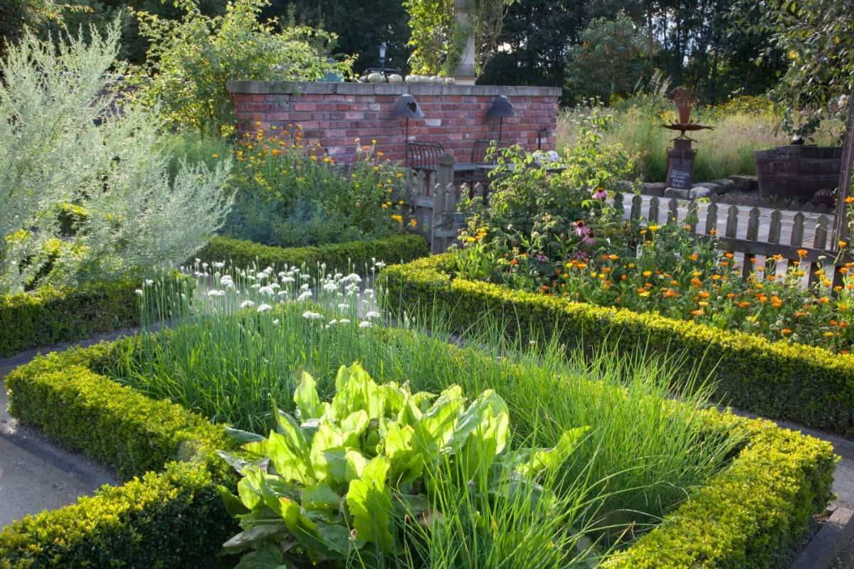 Early Spring Knot Garden Parterre Garden