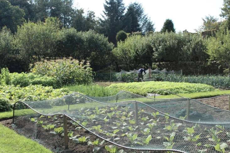 The World Gardenista