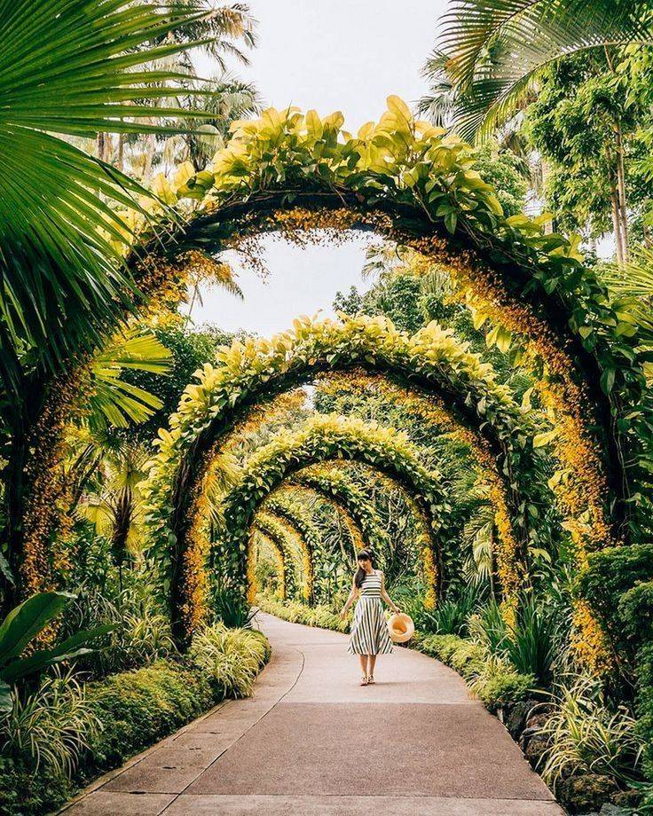 Best Succulent Garden Ideas