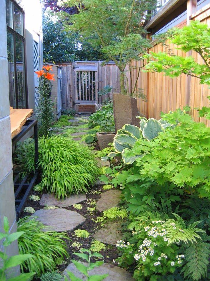 Best Succulent Garden Ideas