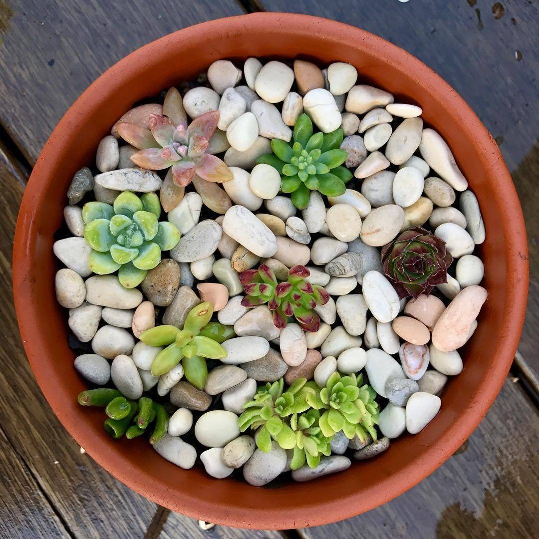 20 Garden around the World Ideas You Should Check SharonSable